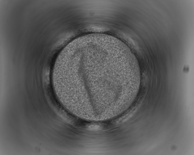 X0000101190358200807251008
