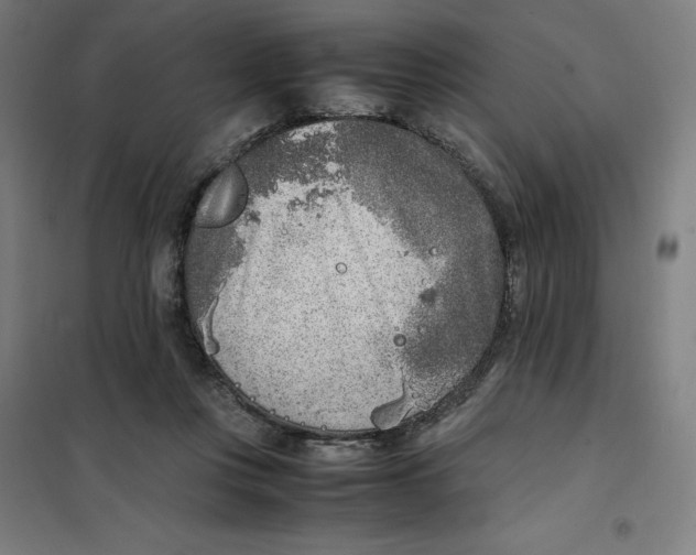 X0000101190359200807251008