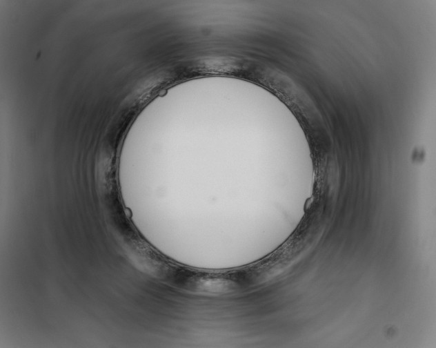 X0000101190360200807251008