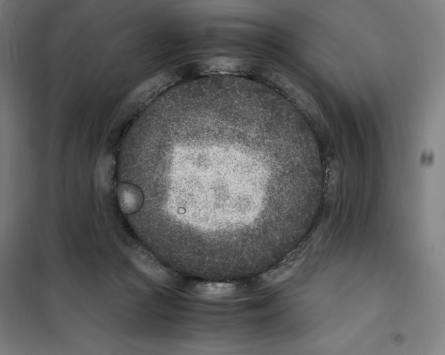 X0000101190361200807251008