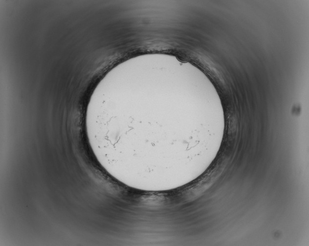 X0000101190362200807251008