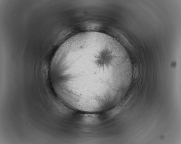 X0000101190363200807251008