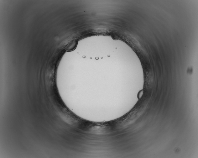 X0000101190364200807251008