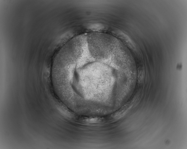 X0000101190365200807251008