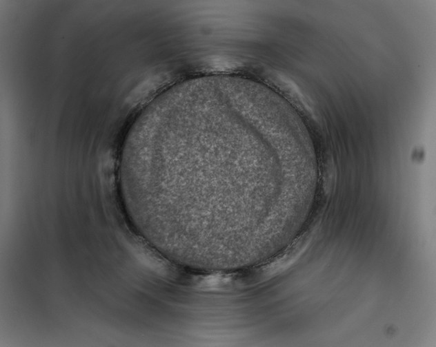 X0000101190366200807251008