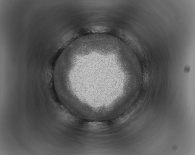 X0000101190367200807251008
