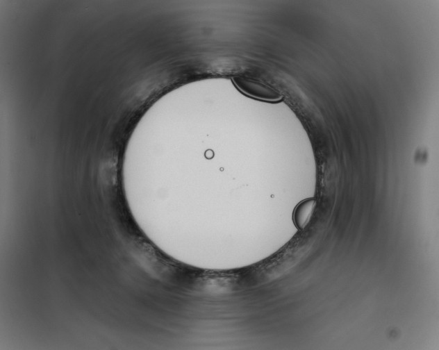 X0000101190368200807251008