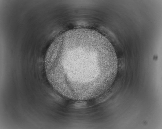 X0000101190369200807251008