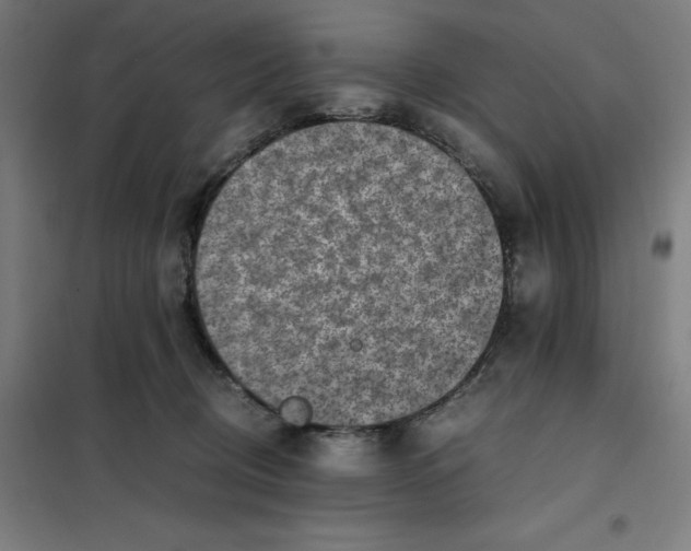 X0000101190370200807251008
