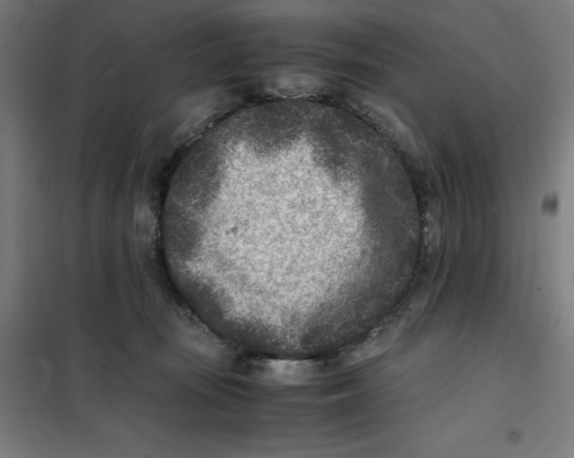 X0000101190371200807251008