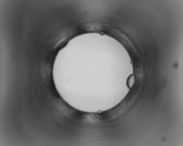 X0000101190372200807251008