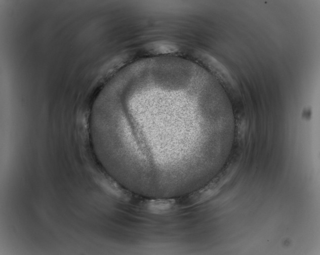 X0000101190373200807251008