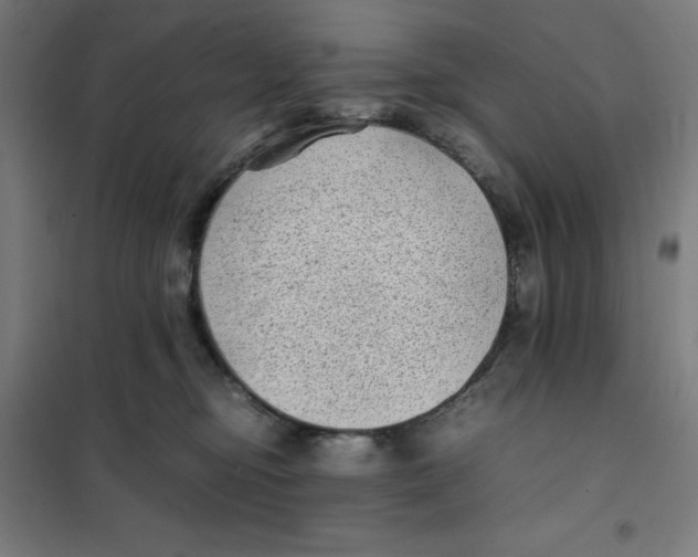 X0000101190374200807251008