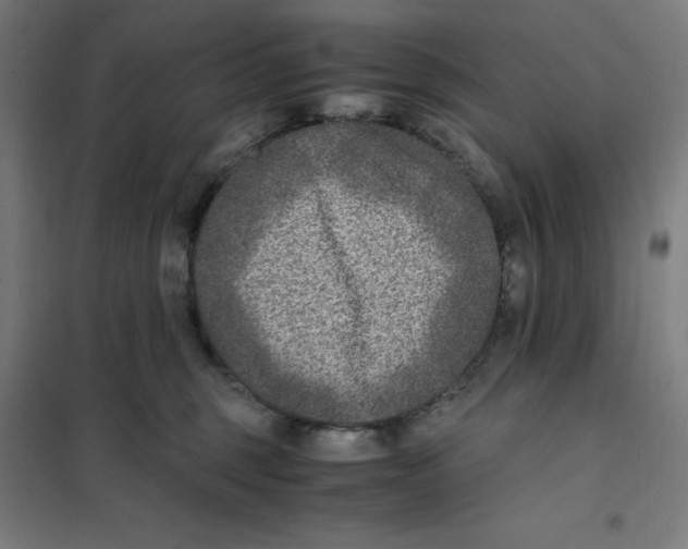 X0000101190375200807251008