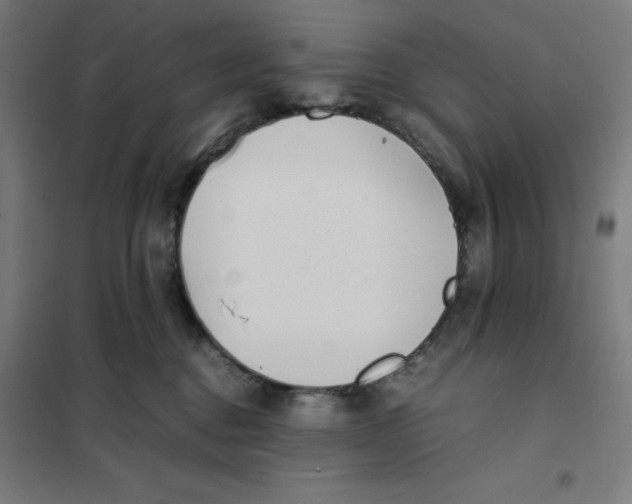 X0000101190376200807251008