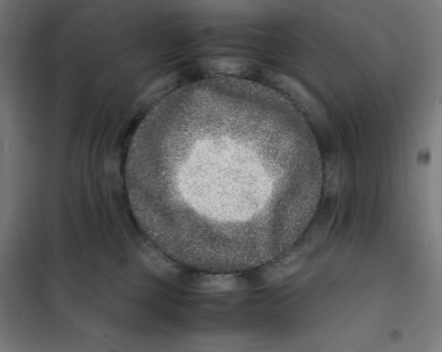 X0000101190377200807251008