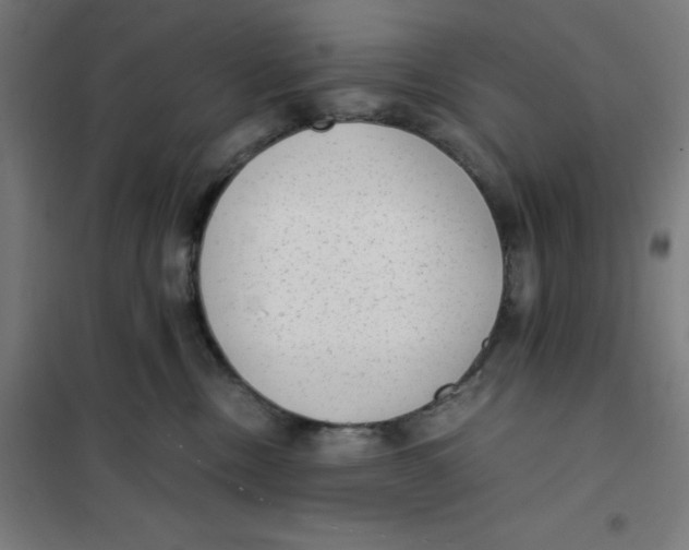 X0000101190378200807251008