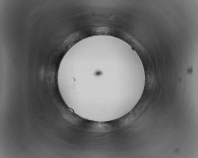 X0000101190379200807251008