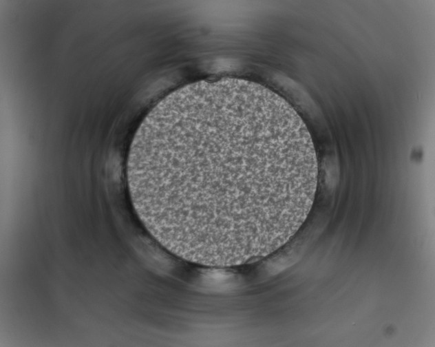 X0000101190380200807251008