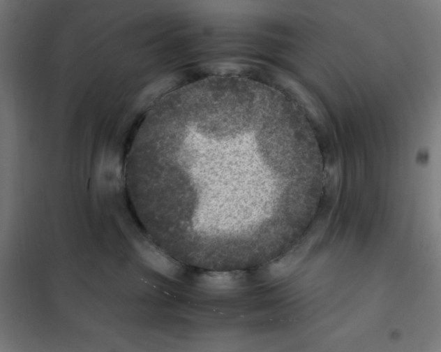 X0000101190381200807251008