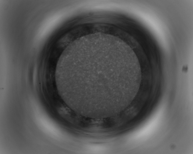 X0000101190382200807251008