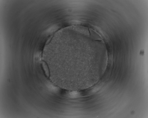 X0000101190383200807251008