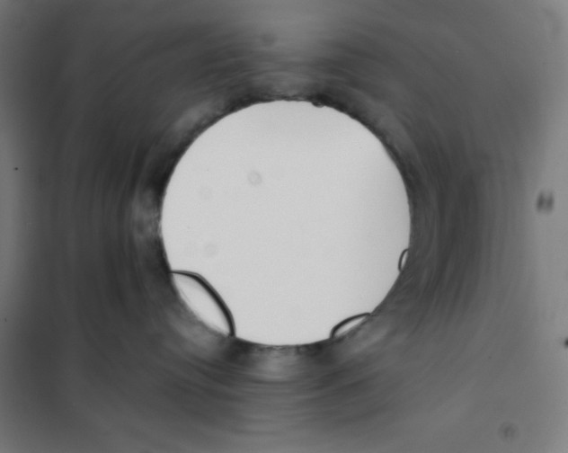 X0000101190384200807251008