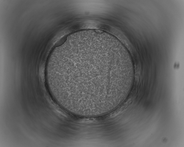 X0000101190386200807251007