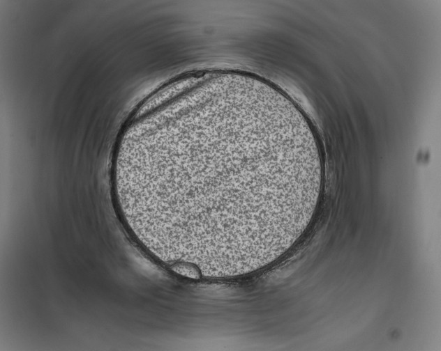 X0000101190389200807251007