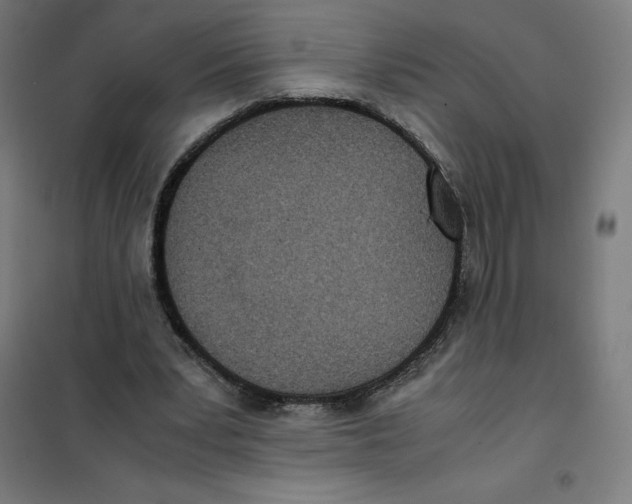 X0000101190391200807251007