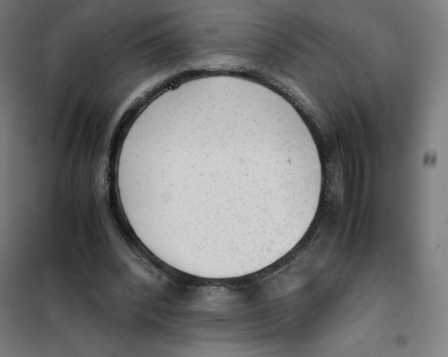 X0000101190392200807251007