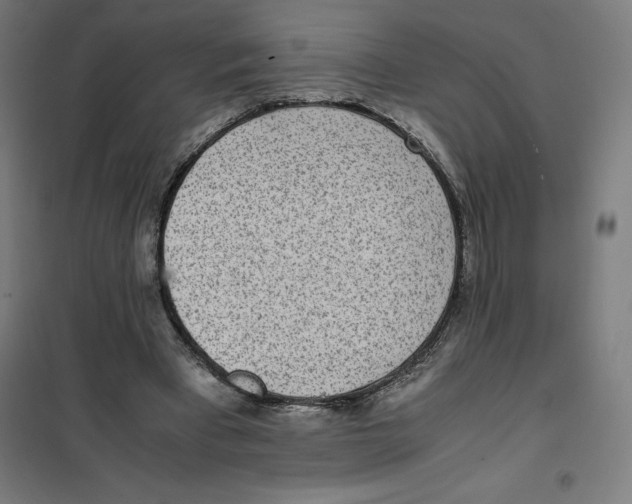 X0000101190393200807251007