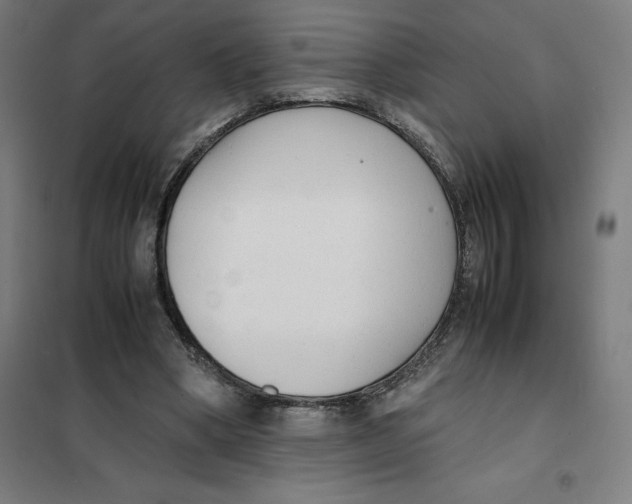 X0000101190394200807251007