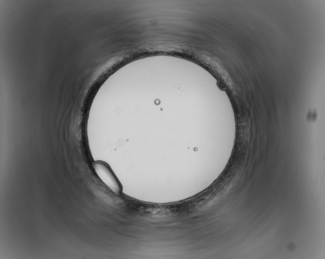 X0000101190395200807251007