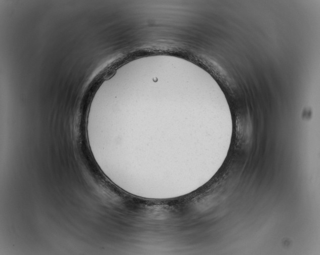 X0000101190396200807251007