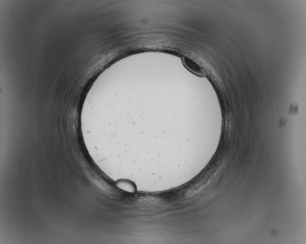 X0000101190397200807251007