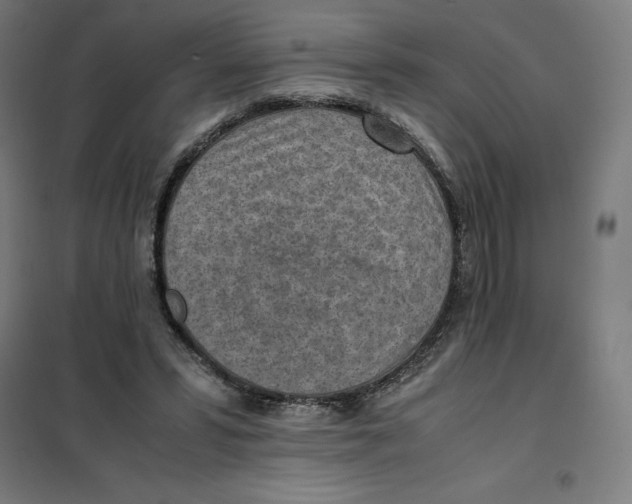 X0000101190399200807251007