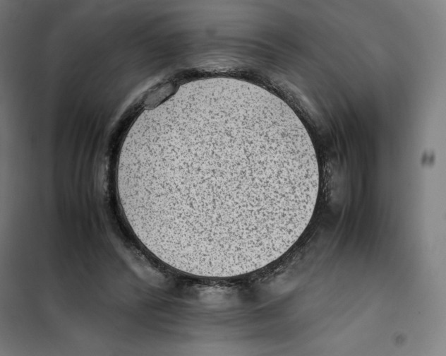 X0000101190400200807251007