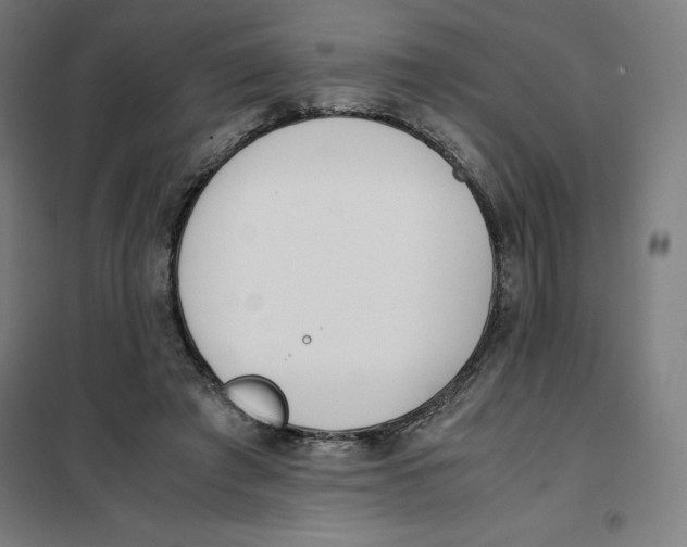 X0000101190401200807251007