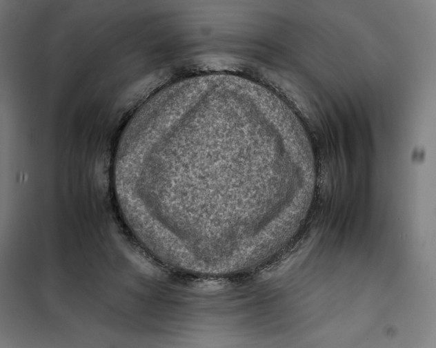 X0000101190402200807251007