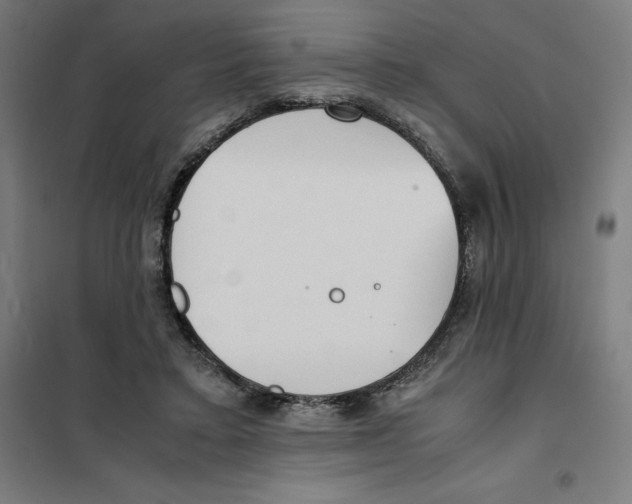 X0000101190403200807251007