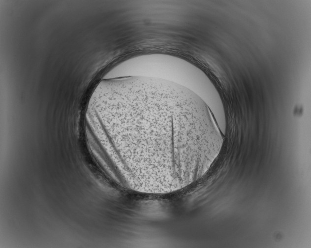 X0000101190404200807251007