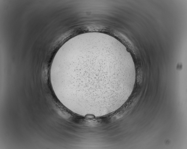 X0000101190405200807251007