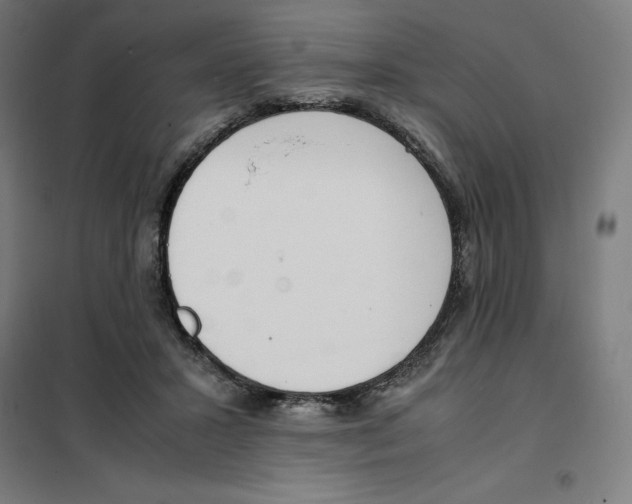 X0000101190407200807251007