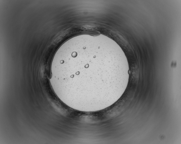X0000101190408200807251007