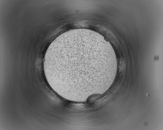X0000101190409200807251007