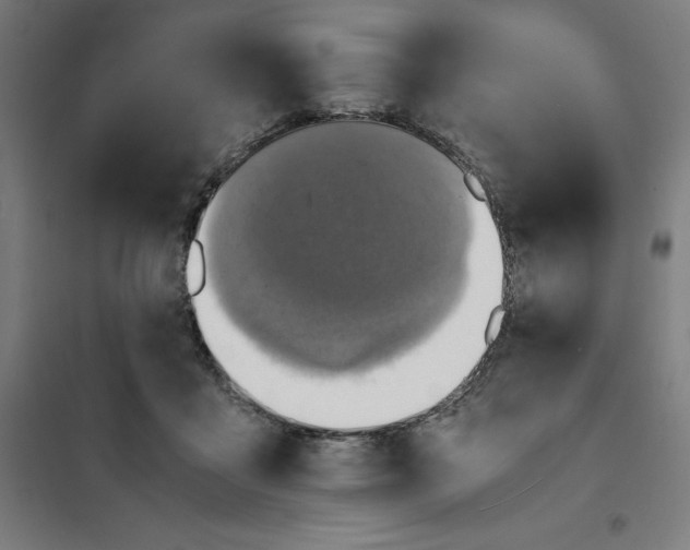 X0000101190411200807251007