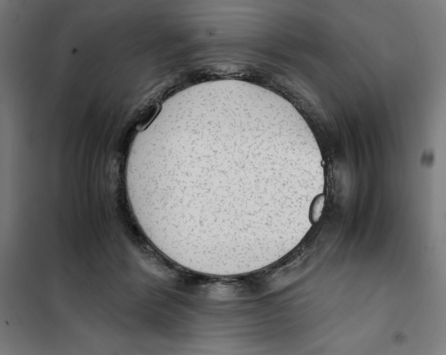 X0000101190412200807251007
