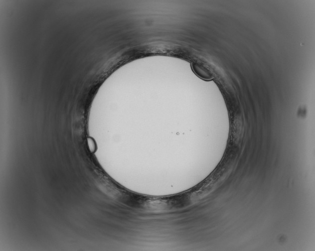 X0000101190413200807251007