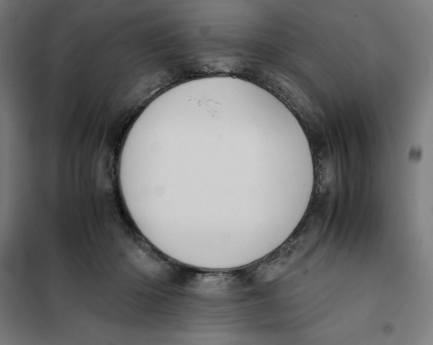 X0000101190414200807251007